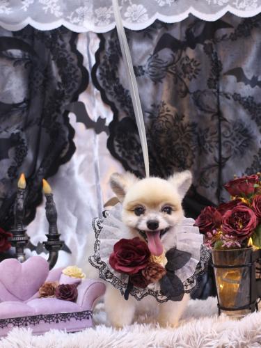 20231021エルくん